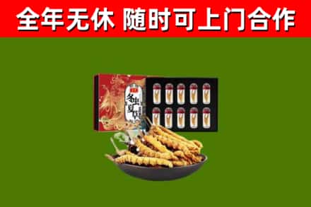 木兰回收冬虫夏草价格